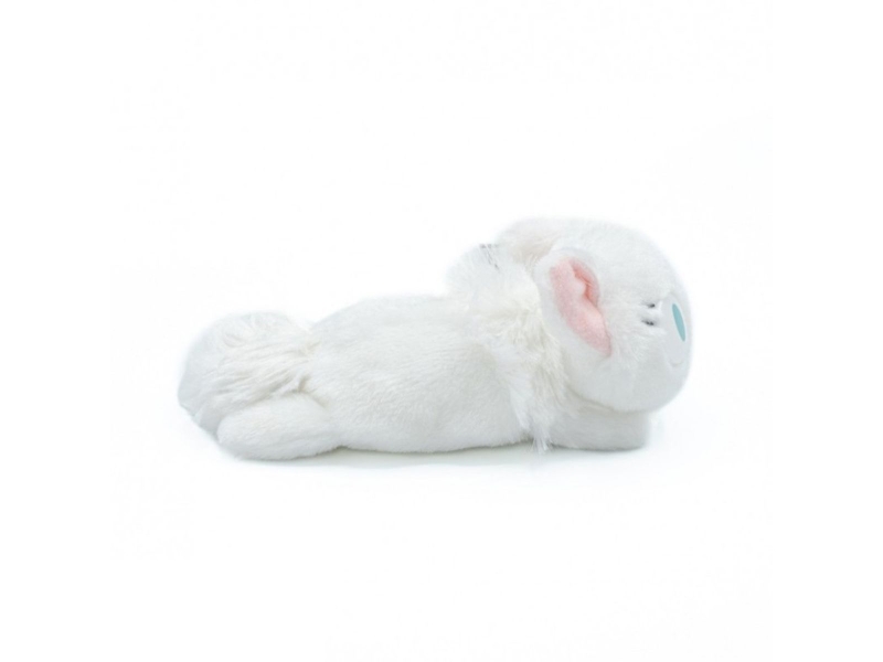  Peluche kiki la petite sorciere lily 11 cm yeux bleus  - Conforama C