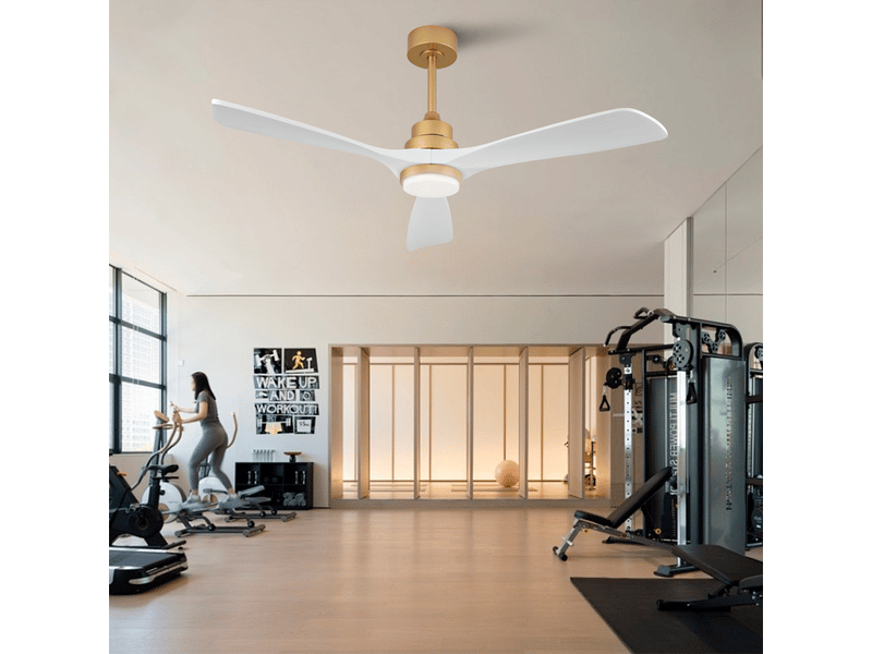  Ventilateur de plafond avec lumière et télécommande silencieux réversible - en métal et bois blanc et or  - Conforama B