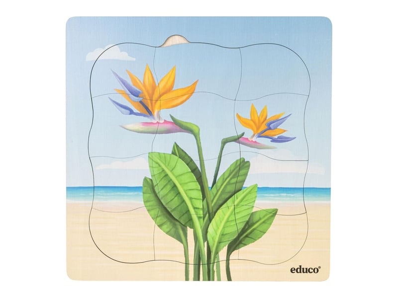  Educo sur la plage - lot combiné  5 puzzles 8719924065218 - Conforama E
