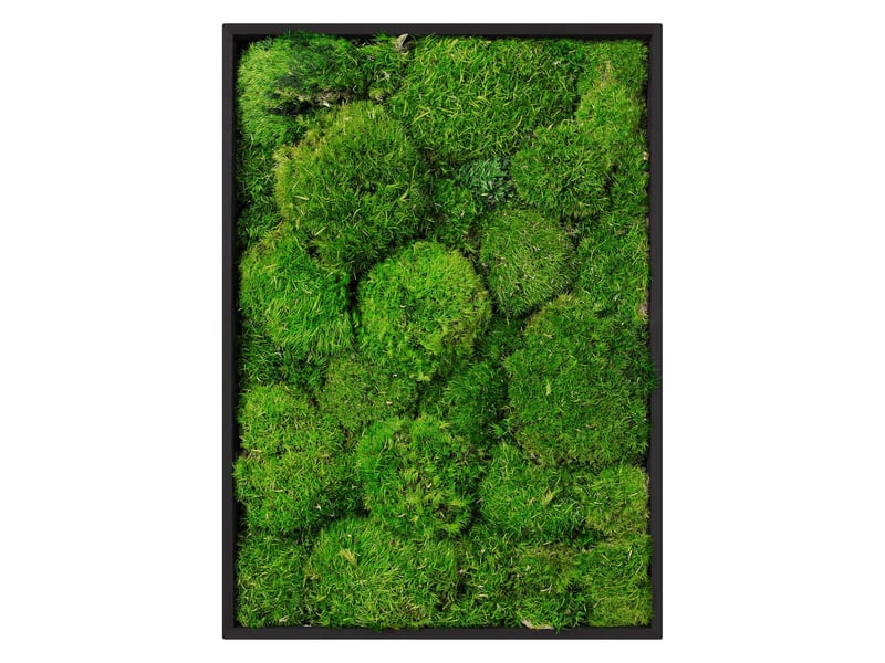  Ecd germany tableau en mousse boule stabilisée véritable, forme rectangulaire 38x27 cm, vert, décoration murale végétale d'intérieur, cadre en bois, sans arrosage ni entretien, effet 3d, pièce unique ECD Germany GmbH - Conforama A