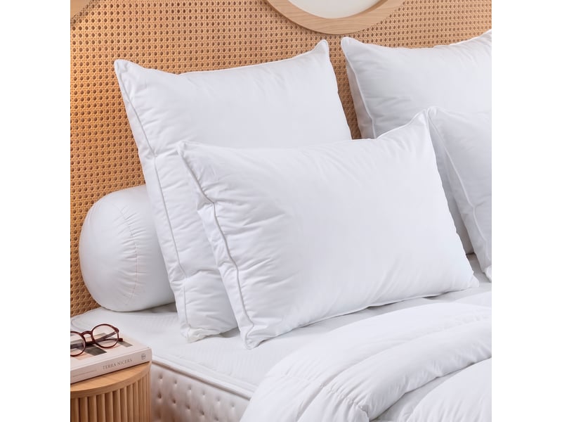  Dodo - oreiller 65x65 tradition canard - 70% duvet - moelleux  - Conforama B
