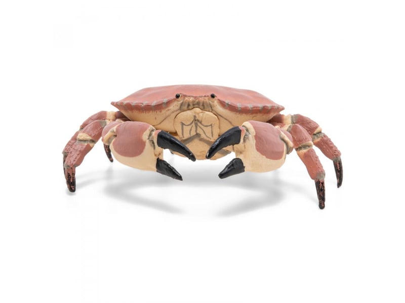  56047 - crabe figurine papo 56047 - Conforama B