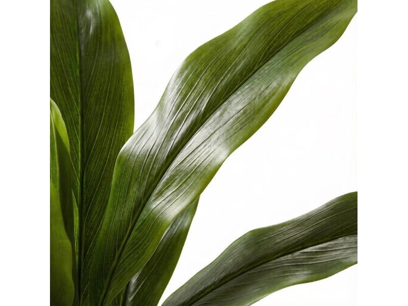  Cordyline artificielle 13x13x90 cm 29 feuilles vertes  - Conforama D
