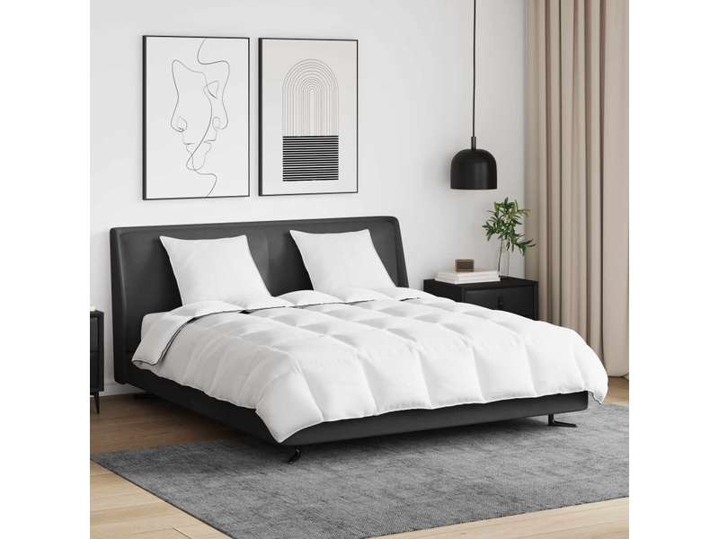 Duvet d'hiver avec oreiller 3 pièces - couette blanc plume de canard - Conforama B