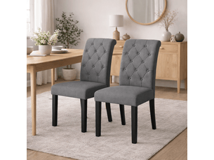 Lot de 2 chaises – confortables et élégantes – style moderne