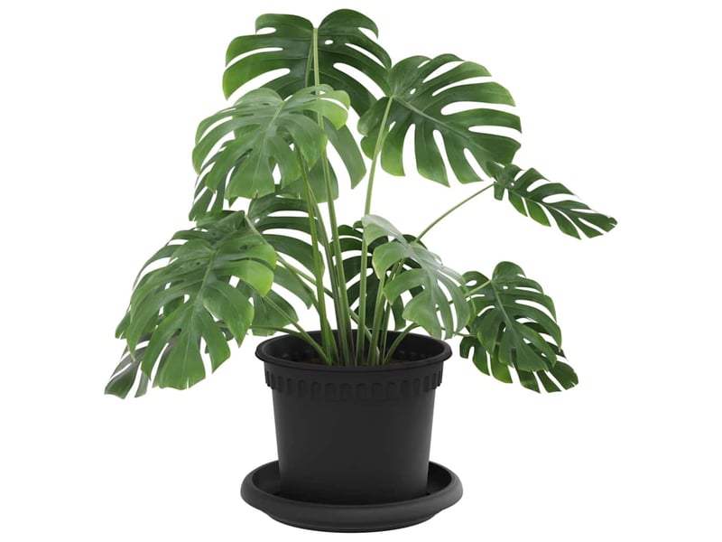 Jardinière - pots de plantes 24 pcs noir plastique - Conforama C