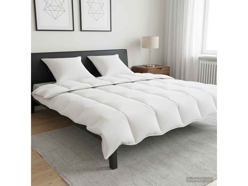  Ensemble de duvet - couette blanc 200 x 220 cm polyester, bambou  - Conforama B
