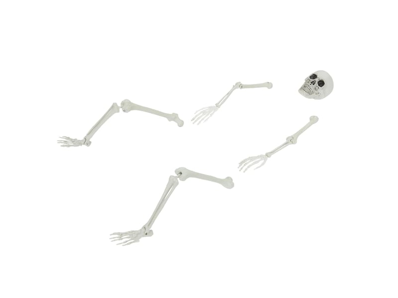 Squelette d'halloween avec piquets de sol blanc 45,5 x 13 cm cf61975 - Conforama A