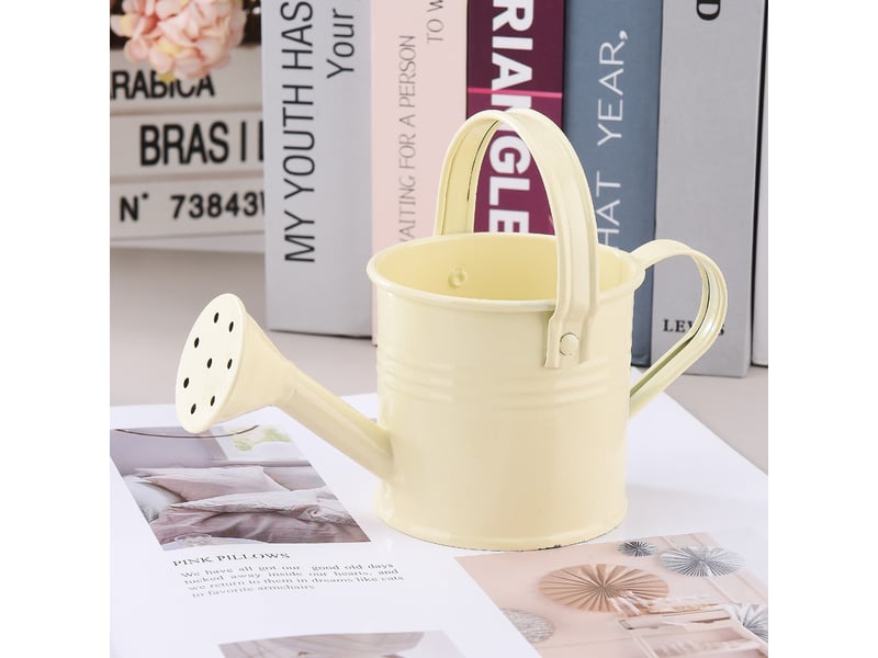  Mini boîte d'arrosage en métal, beige, portable avec poignée, pulvérisateur de jardin  - Conforama C