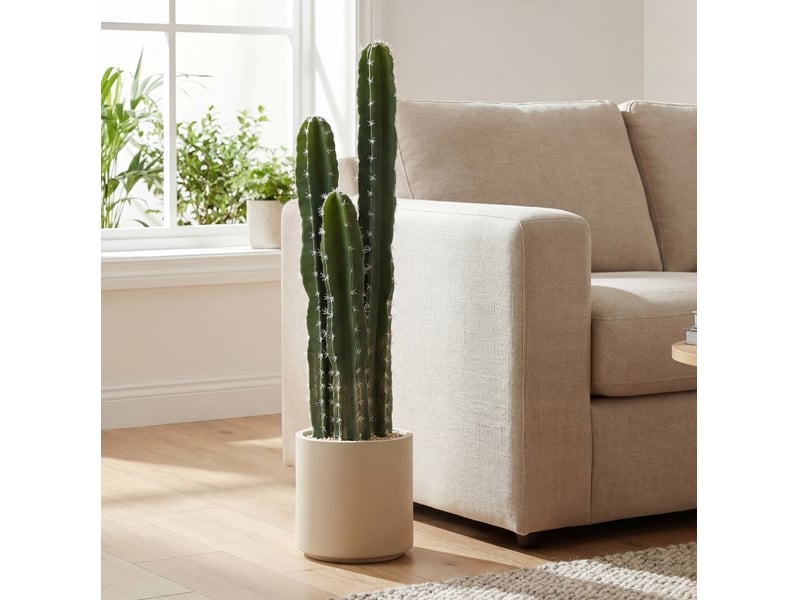  Plante artificielle cactus 22x22x95 cm avec pot vert  - Conforama B