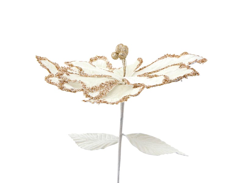  Bch poinsettia beige paill h75  - Conforama B