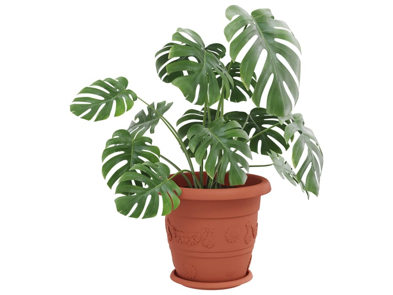 Jardinière - pots de plantes 24 pcs rouge brique ø 34 x 28 cm plastique  - Conforama C