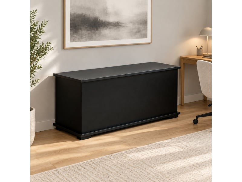  Banquette de rangement 100 x 40 x 40 cm noire en panneau de particules, coffre à couvercle rabattable  - Conforama D