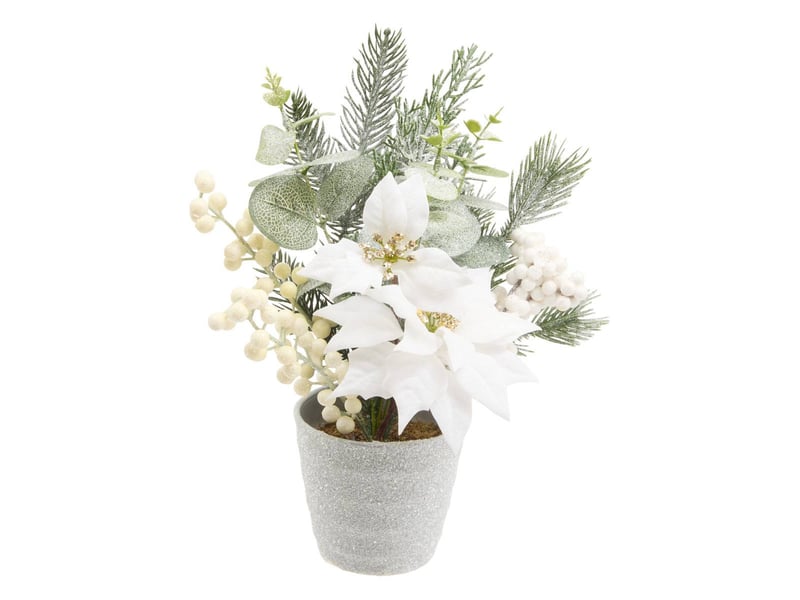  Compo poinsettia blanc h29  - Conforama A