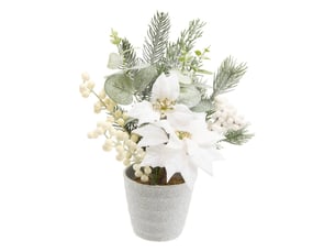 Compo poinsettia blanc h29