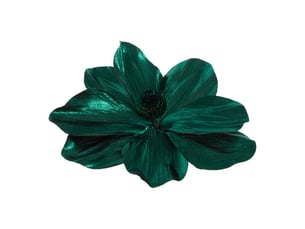 Sdn magnolia brill vrt 23cm