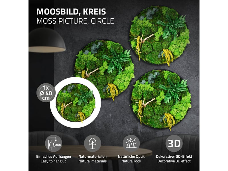  Ecd germany tableau végétal mural stabilisé, ø 40 cm, mélange de mousses avec eucalyptus, fougères et bois naturel, effet 3d, sans entretien, cadre mdf rond, décoration d'intérieur, style jungle ECD Germany GmbH - Conforama B
