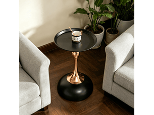 Table basse rond(e) coloris bicolore WISHDOR - 38 cmx38 cm