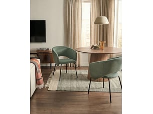 Lot de 2 chaises de salle à manger blakely tissu vert clair
