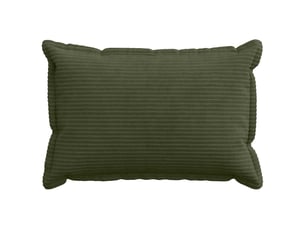 Lot de 2 housses de coussin houten vert 30 x 50 cm velours côtelé cf49379