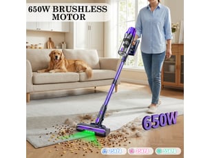 Aspirateur balai rechargeable BLOSSOM -