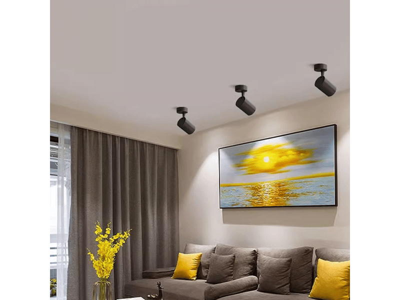 Éclairage de couloir, éclairage de balcon, spot orientable, éclairage d'îlot, éclairage de musée, éclairage de plafond en saillie, 30 w, 3 000, noir - Conforama C