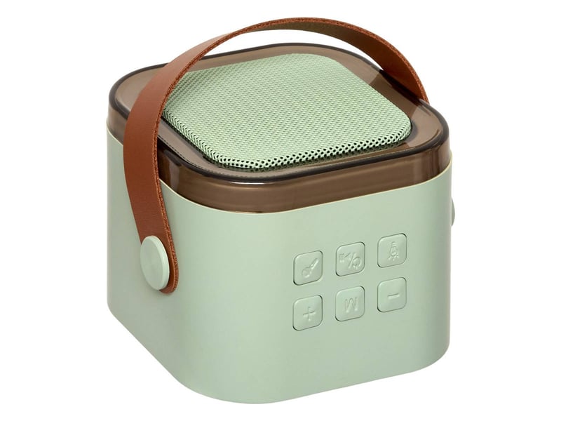  Set karaoké kara avec enceinte portable et 2 micros vert KARA - Conforama C