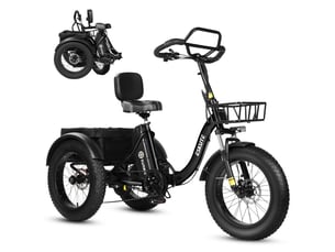 Tricycle électrique 20 eskute t302pro, 48v 250w 20.8ah, noir