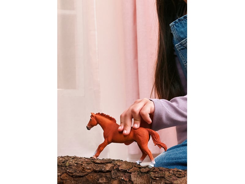  14915 figurine etalon pur-sang anglais 14915 - Conforama B