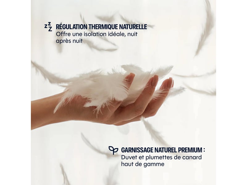  La couette légère drimz - plumes et duvet de canard - 240x220cm Light - Conforama E
