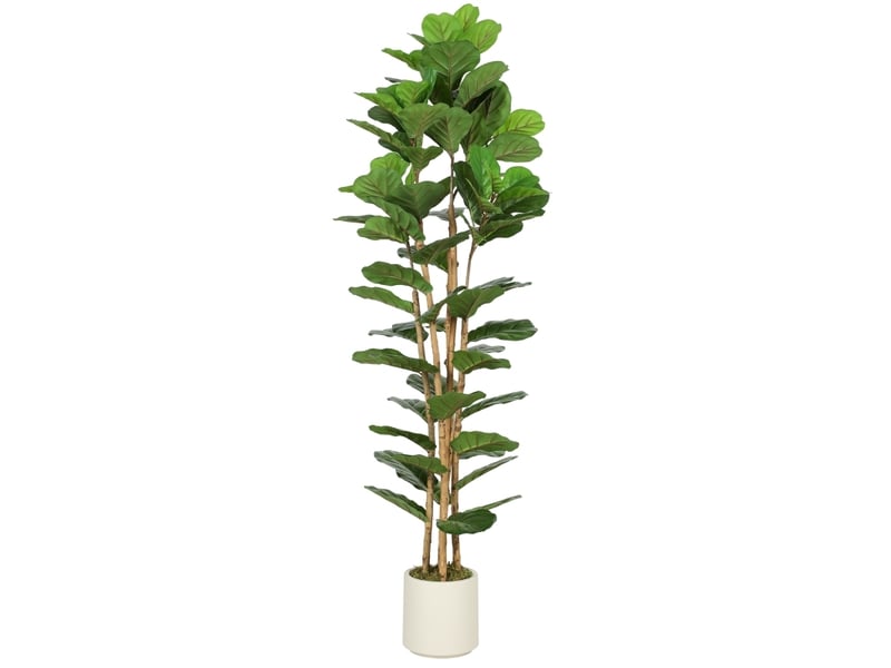  Figuier lyre artificiel 55x55x180 cm, 91 feuilles, tronc en bois, vert  - Conforama A