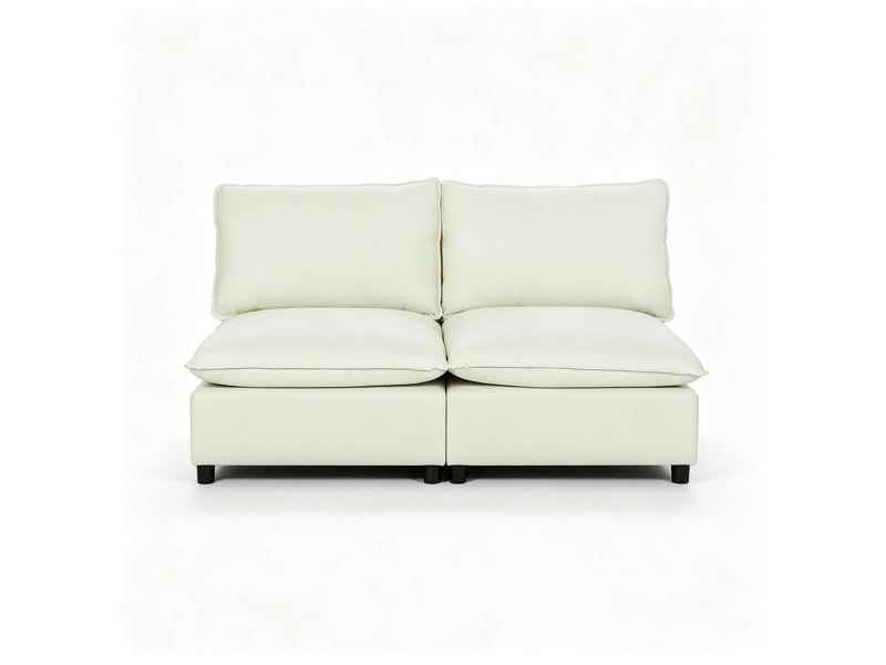  Canapé 2 places, canapé de salon, assise spacieuse, sans accoudoirs, coussins épais, design moderne, pour salon, 146 cm  - Conforama B