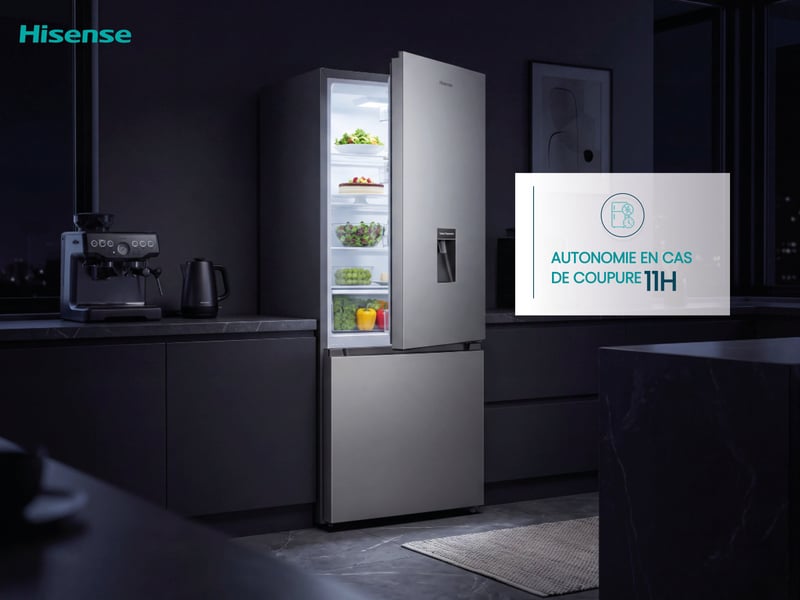 Réfrigérateur combiné (congél en bas) HISENSE RB343D4WDC - Conforama I