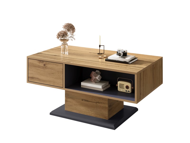  Table basse avec double espace de rangement et niche intérieure, design moderne, pour salon, 100 × 50 × 46,5 cm  - Conforama A