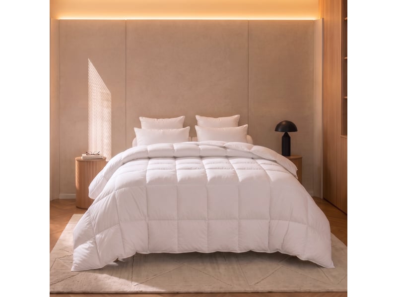  Dodo - couette 200x200 tradition canard - 90% duvet - chaude  - Conforama C