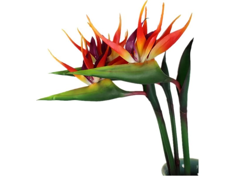  Lot de 3 oiseaux de paradis 81,3 cm – fleurs artificielles résistantes aux uv – caoutchouc souple – décoration intérieure et extérieure  - Conforama A