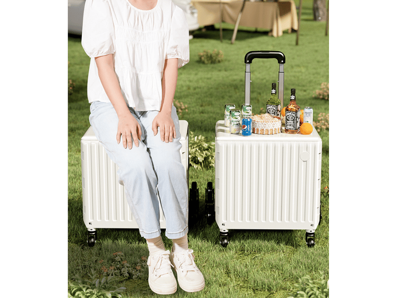  Chariot de courses pliable avec roues d'escalade, caisse roulante pliable avec grande capacité de 30 l et poignée télescopique  - Conforama B