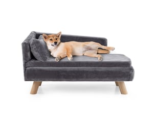 Canapé droit fixe HELLOSHOP 26 1 place Tissu gris