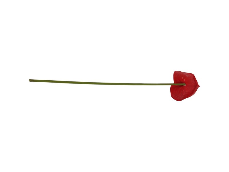  Simulation 3d d'un aménagement de salon avec des fleurs d'anthurium et un bouquet de fleurs flamant rose  - Conforama D
