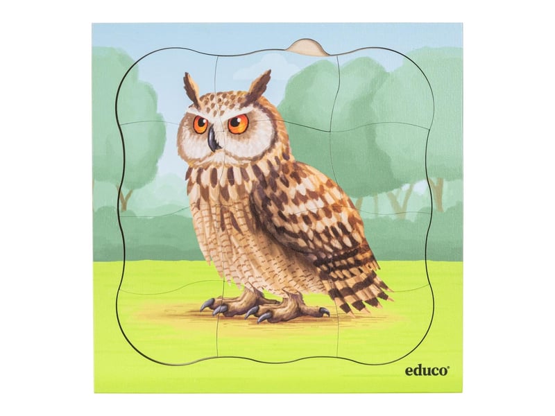  Educo dans la forêt - lot combiné  5 puzzles 8719924065201 - Conforama B