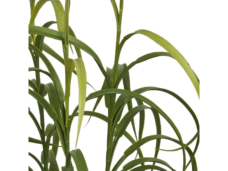  Dracaena décoratif artificiel hauteur 68cm - caena CAENA - Conforama C