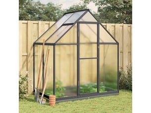 Serre de jardin avec cadre de base anthracite 169x114x202 cm aluminium