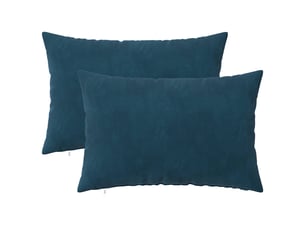 Lot de 2 coussins avec oreiller, coussins décoratifs heerlen bleu velours cf50419