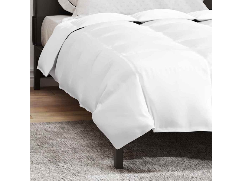  Duvet d'hiver - couette 155 x 200 cm hiver - couette plume blanc respirant  - Conforama E