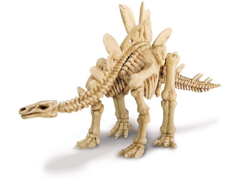  Deterre ton dinosaure stegosaurus 5663229 - Conforama C