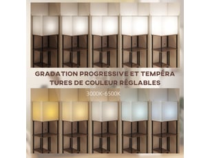 Lampadaire avec étagères, lampadaire sur pied de salon dimmable, télécommande, brun rustique, 40 x 29 x 171 cm
