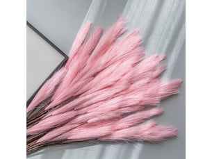 Plante artificielle - roseau pampas - hauteur 80 cm - tête fleurie 18 cm - pour décoration intérieure bureau mariage - 1 pièce