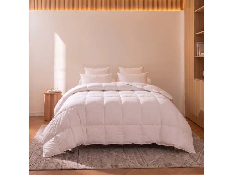  Dodo - couette 200x200 tradition canard - 30% duvet - chaude  - Conforama C