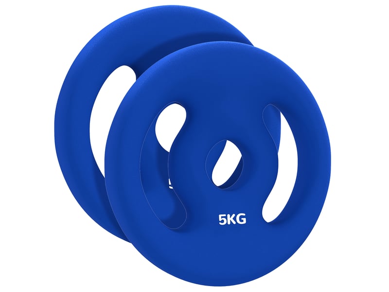 Lot de 2 disques de musculation 5kg, alésage 30 mm, poids bleus avec poignées pour fitness  - Conforama A