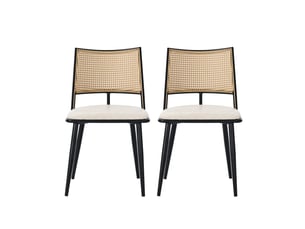 Lot de 2 chaises en rotin coloris noir